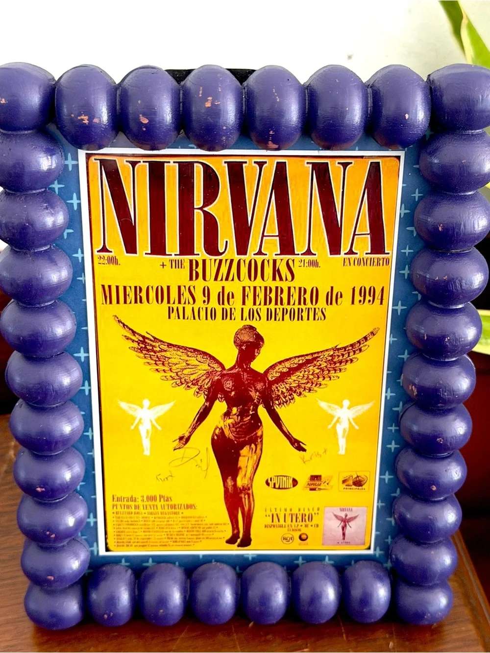 N/A nirvana buzzcocks